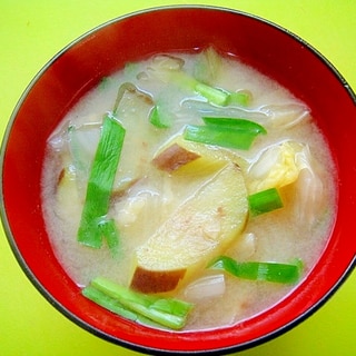 茄子と白菜ニラの味噌汁